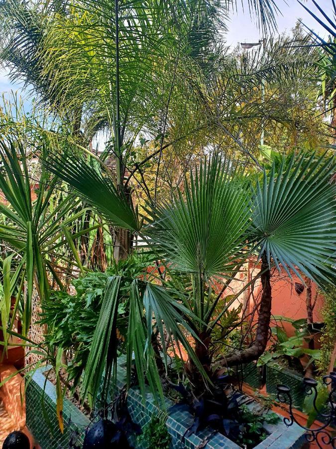 Villa Amira & Spa Marrakesh Eksteriør billede